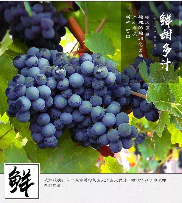 图片8.jpg