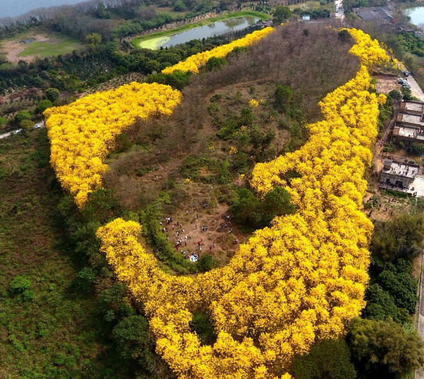 图片11.jpg