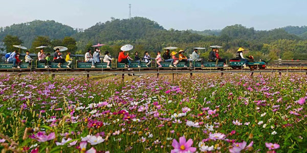 美丽乡村谱写振兴新篇   花都大地展现多彩画卷