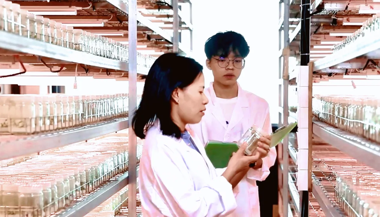 图片7.png