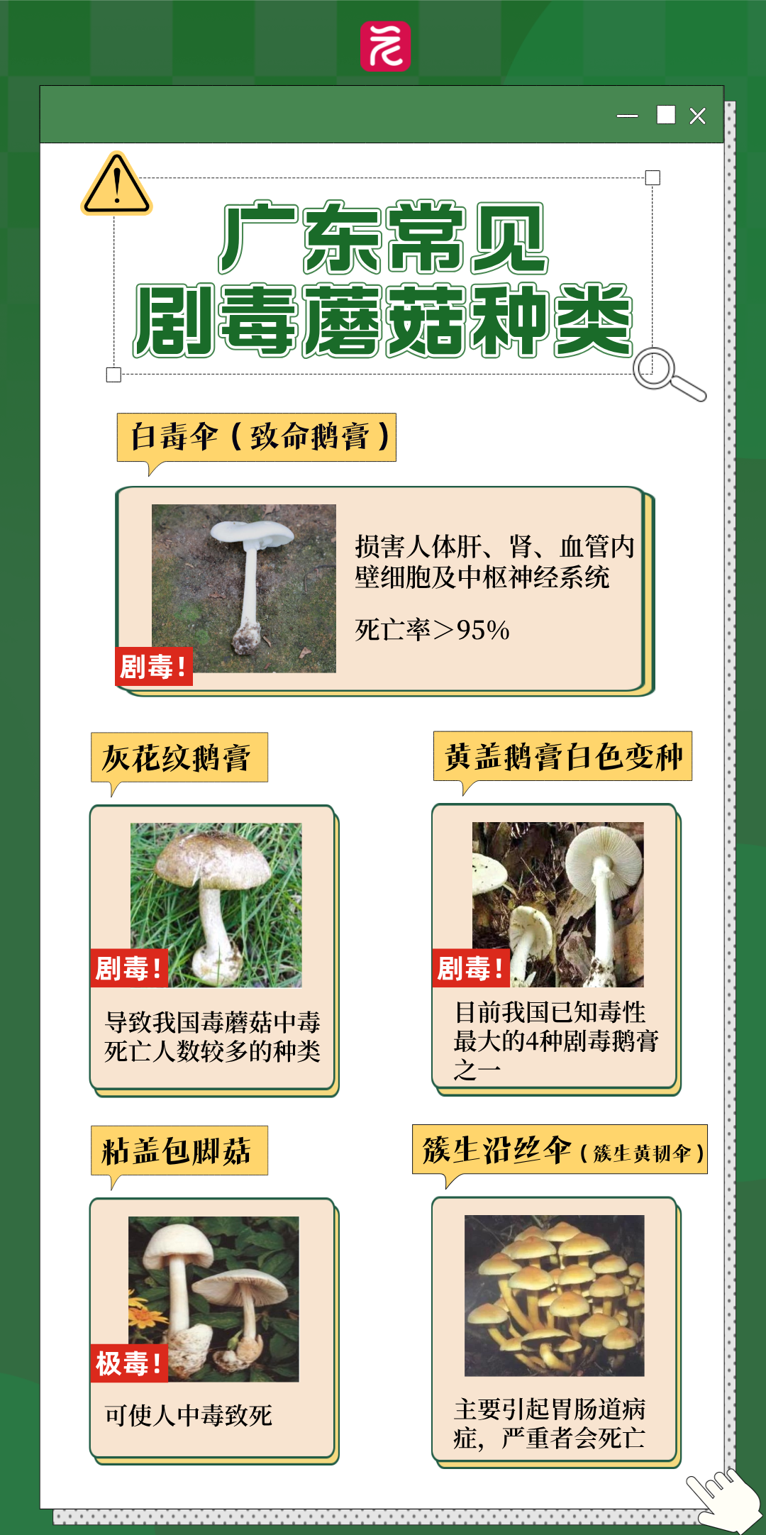 扁平插画世界睡眠日知识科普手机海报__2025-03-27+15_05_21 图片